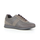 Avery sneaker - GEOX | Boscaini Scarpe